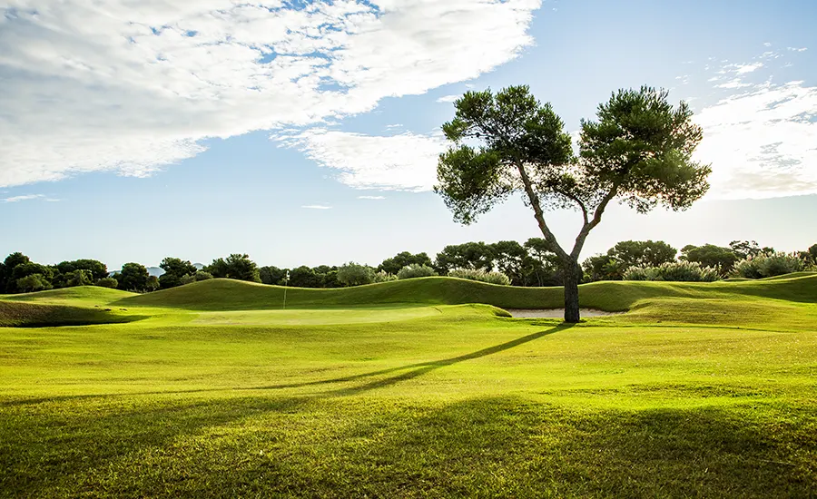 que es el golf campo de golf y cielo soleado